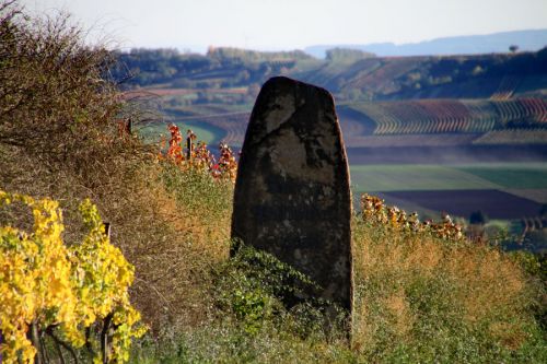 Weinviertler Bundesstraße von Kleinhaugsdorf Richtung Jezelsdorf