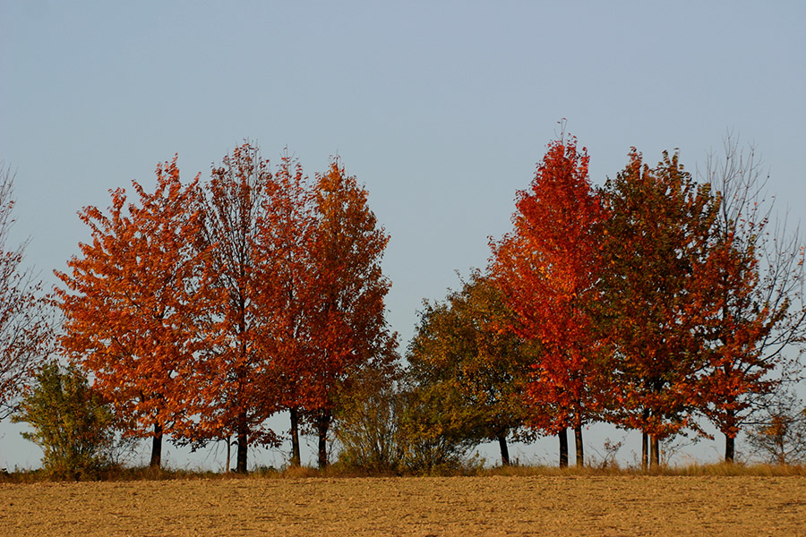 oktober 2015